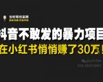 抖音不敢发的暴利项目，在小红书悄悄挣了30W