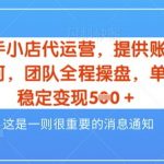 【快手小店代运营3.0】，模式新升级，收益五五分，稳定单日8张【揭秘】