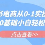 小红书电商从0-1实操运营课，0基础小白轻松上手