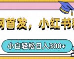 小红书种草，手机项目，日入3张，复制黏贴即可，可矩阵操作，动手不动脑【揭秘】