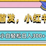 小红书种草，手机项目，日入3张，复制黏贴即可，可矩阵操作，动手不动脑【揭秘】