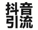 2025年抖音最新暴力引流法，只需一个视频加一段文字，简单操作，单日引300+创业粉
