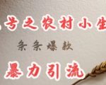 deepseek写农村小项目，条条爆款，暴力引流