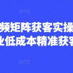AI短视频矩阵获客实操课，企业低成本精准获客