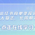 最新小红书商单变现项目，AI人物志，长周期可做