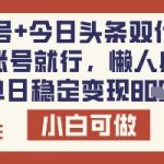 公众号+今日头条双代运营，有账号就行，单日稳定变现8张【揭秘】