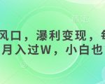 女杏商风口，瀑利变现，每天1小时，月入过W，小白也能做