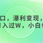 女杏商风口，瀑利变现，每天1小时，月入过W，小白也能做