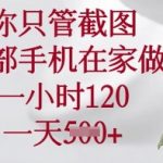你只管截图，一部手机在家做，一小时120.一天5张【揭秘】