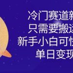 冷门赛道新玩法，只需要搬运图片，新手小白可快速上手，单日变现多张