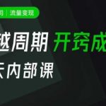 一人公司：流量变现课，一人公司的方法模型拆解， 拆解富人思维，流量思维，小老板思维等