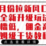 3月份拉新风口项目全新升级玩法，门槛低，佣金高，保姆级干货教程