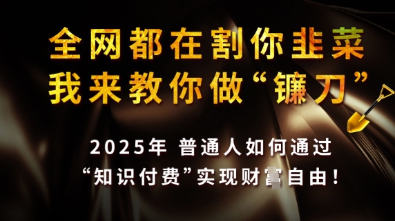 全网都在割你韭菜,我来教你做镰刀,2025普通人如何通过知识付费,实现财F自由【揭秘】