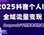 2025抖音个人IP全域流量变现进阶课，deepseek千川爆单进阶课