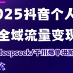 2025抖音个人IP全域流量变现进阶课，deepseek千川爆单进阶课