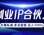 云帆·创业ip合伙人打造3.0，从0到1教你做网创，实现月入过W