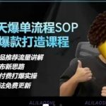 得物电商【合集】得物选品逻辑、细节优化、定价、爆款打造，7天打爆单品SOP，细致教学等