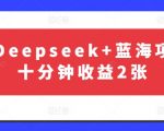 最新Deepseek+蓝海项目，十分钟收益2张