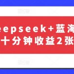 最新Deepseek+蓝海项目，十分钟收益2张