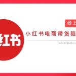 2025小红书虚拟电商实战课，从0到1打造无货源店铺，AI+爆款笔记轻松变现