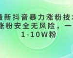 3月最新抖音暴力涨粉技术，快速涨粉安全无风险，一天涨1-10W粉