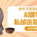 AI国学私域运营模型，单号月变现过W