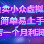 咸鱼卖小众虚拟产品，简单易上手，单店一个月利润破W