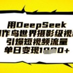 用DeepSeek制作鸟世界摄影级视频，引爆短视频流量，单日变现1k