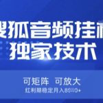 【搜狐音频挂G】独家技术，可矩阵可放大，红利期稳定月入8k【揭秘】