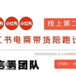 小红书电商带货课2期，月利润20个的小红书电商的有货源，无货源，虚拟产品，付费投流等整套玩法