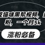 即梦AI生成猫咪黑帮视频，迅速起号涨粉，一个月5k