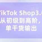 东南亚TikTok Shop3.0课程，TK小店​从初级到高阶，运营出单干货输出