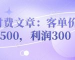 付费文章：客单价500，利润300
