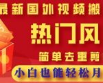 2025最新视频搬砖项目，热门风口，简单去重剪辑，小白也能轻松月入过W