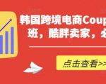 韩国跨境电商Coupang高阶班，酷胖卖家，必学课程