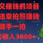 解气又挣钱的项目，最新违章拍照挣钱，随手一拍，轻松收入数张【揭秘】