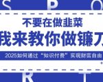 韭菜生涯终结者，我来教你做镰刀，2025如何通过“知识付费”实现财F自由【揭秘】