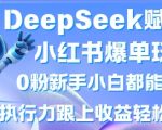 DeepSeek赋能小红书爆单玩法0粉新手小白都能操作，执行力跟上收益轻松上W，懒人勿做