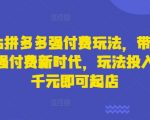 2025拼多多强付费玩法，带领全网走强付费新时代，玩法投入不超千元即可起店