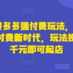 2025拼多多强付费玩法，带领全网走强付费新时代，玩法投入不超千元即可起店