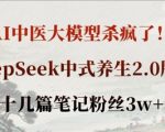 AI中医大模型杀疯了！DeepSeek中式养生2.0版本，十几篇笔记粉丝3w+
