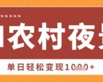 Deepseek制作农村夜景视频，一条视频点赞20W+，单日变现数张