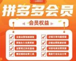2025拼多多运营实战课，40节全流程教学，覆盖拼多多运营全链路