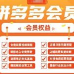 2025拼多多运营实战课，40节全流程教学，覆盖拼多多运营全链路