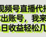 视频号直播代播，你出账号我来播，单日收益轻松几张【揭秘】