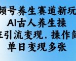 视频号养生赛道新玩法，AI古人养生操，疯狂引流变现，操作简单，单日变现多张