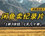 闲鱼卖纪录片1单3块钱，1天几十单，项目稳定有潜力