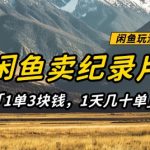 闲鱼卖纪录片1单3块钱，1天几十单，项目稳定有潜力