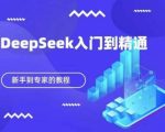 DeepSeek快速从入门到精通，新手的保姆级教程