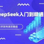 DeepSeek快速从入门到精通，新手的保姆级教程